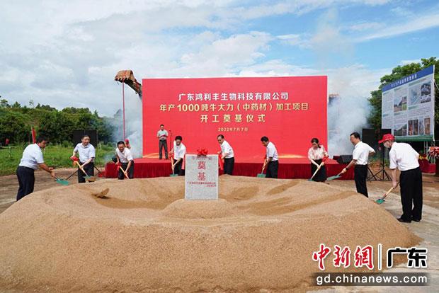 領(lǐng)導(dǎo)嘉賓為鴻利豐公司牛大力加工項目培土奠基。（劉爐慎 攝）